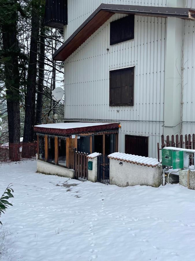La Veranda Nella Neve - Camigliatello Silano Extérieur photo